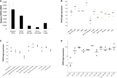 PHF6 Expression Levels Impact Human Hematopoietic Stem Cell Differentiation